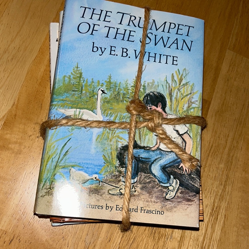 Classic Children’s Hard Cover Books